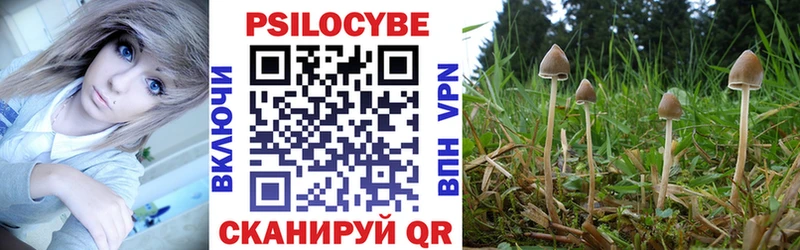 гидра маркетплейс  Сортавала  Псилоцибиновые грибы Psilocybe 